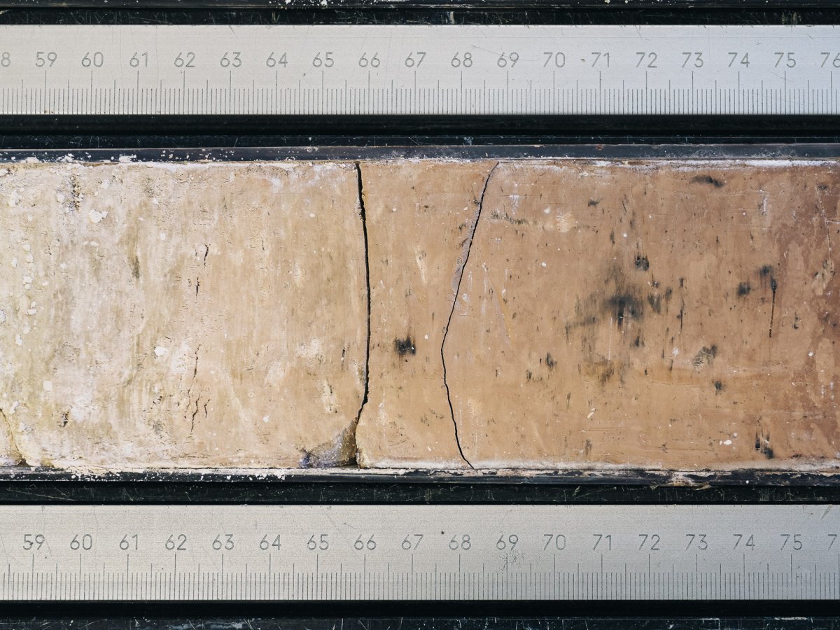 The Past is the Key to the Future - Jan Richard Heinicke