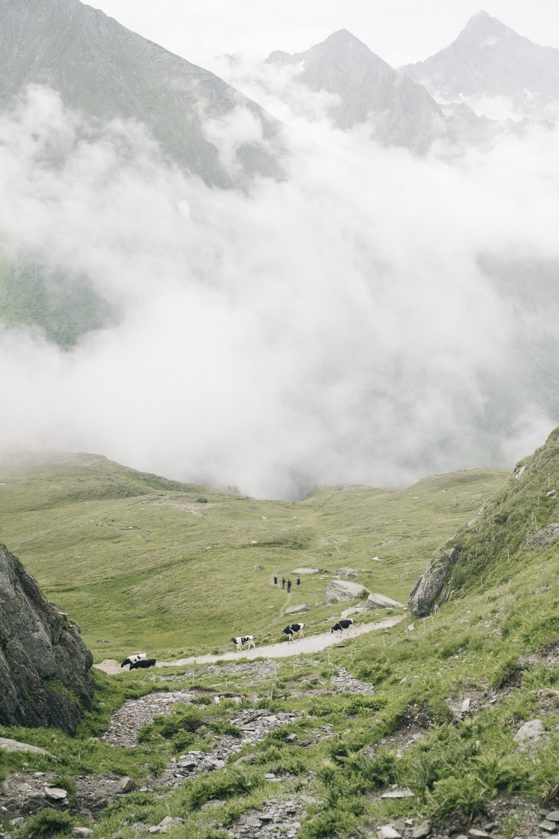 Crossing the Alps - Jan Richard Heinicke