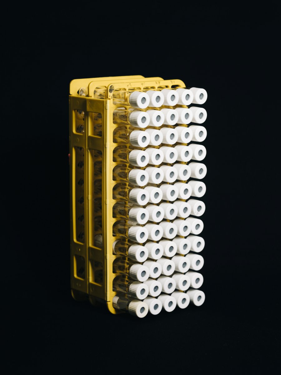 The Past is the Key to the Future - Jan Richard Heinicke