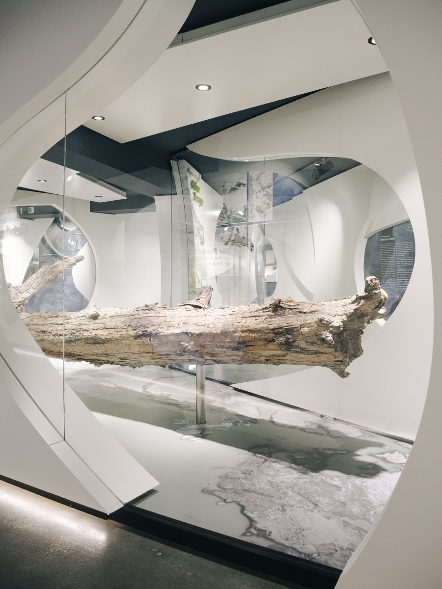 The Past is the Key to the Future - Jan Richard Heinicke