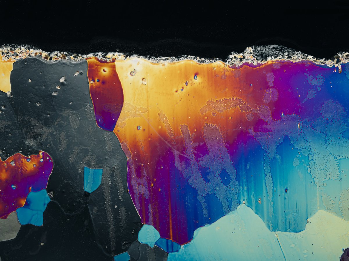 The Past is the Key to the Future - Jan Richard Heinicke