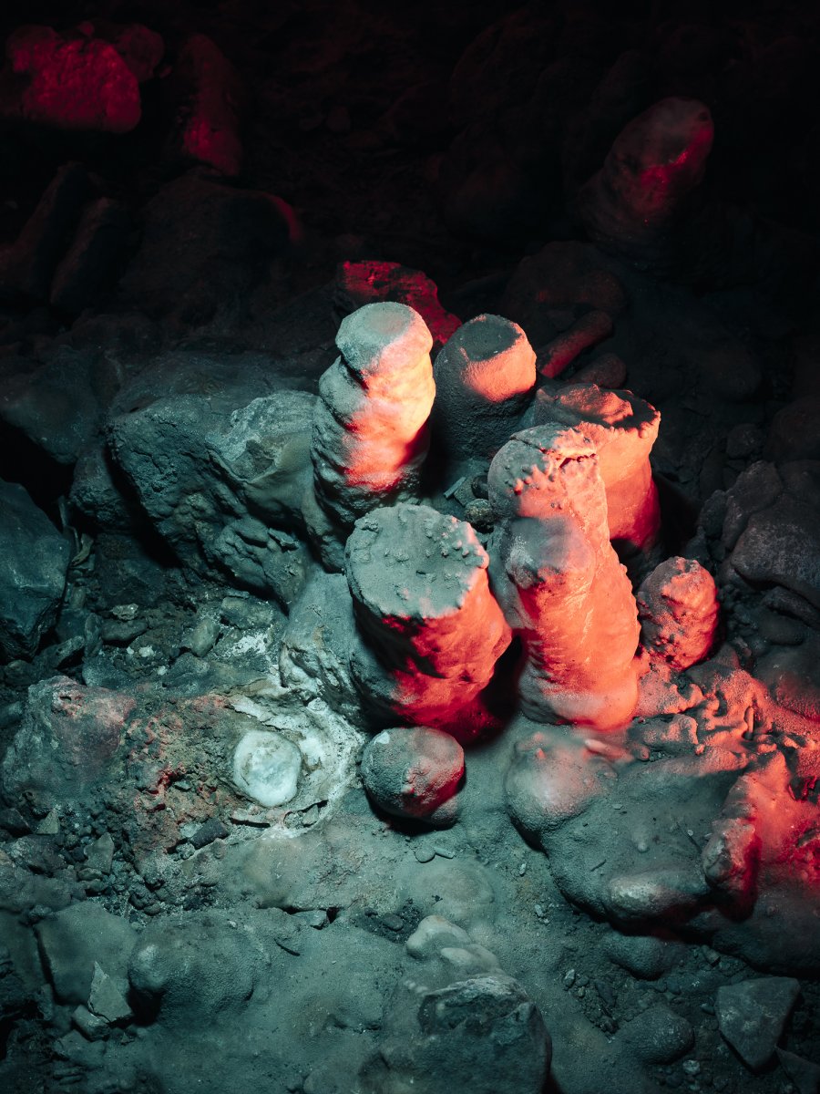 The Past is the Key to the Future - Jan Richard Heinicke