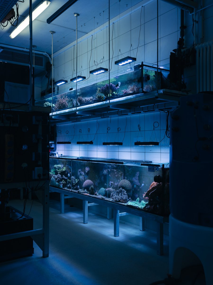 The Past is the Key to the Future - Jan Richard Heinicke